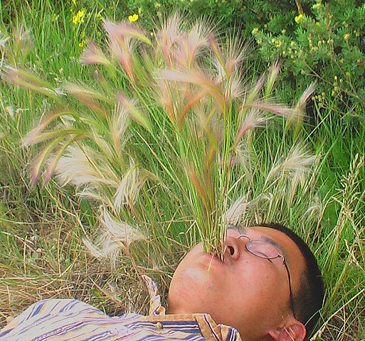 The Grass is Growing in My Mouth, 2006
