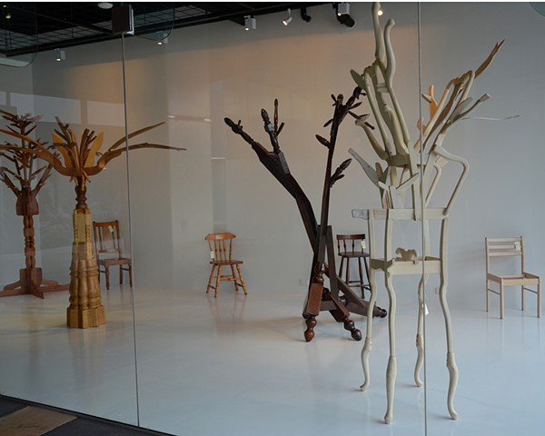 Re-Forestation Installation at Canberra Museum and Gallery