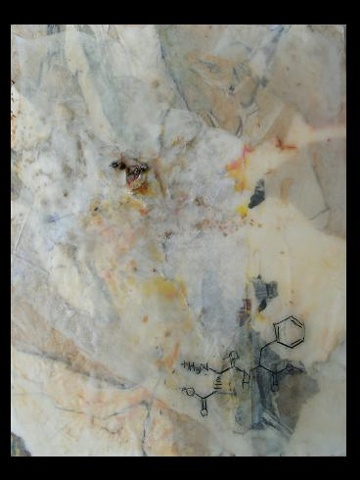 Encaustic, dried bugs, paper, ink, mixed media