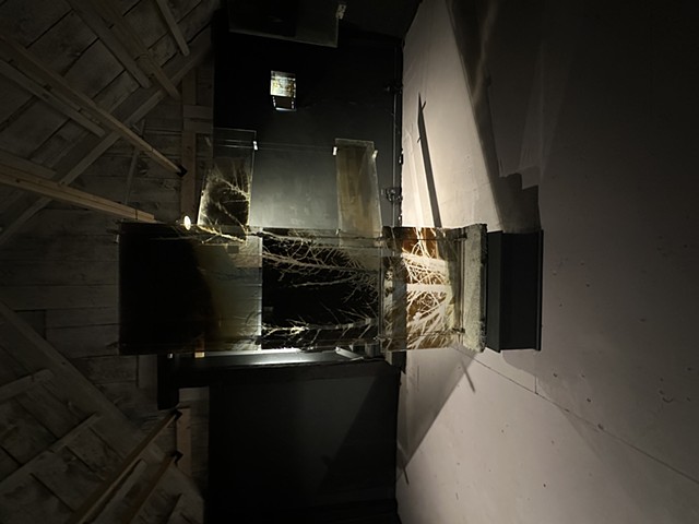 Through a Glass Darkly ll