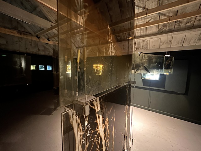 Through a Glass Darkly 