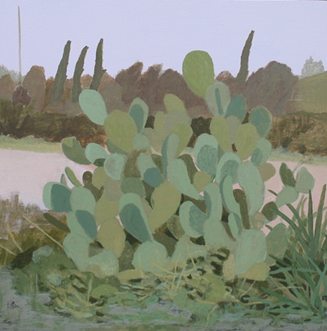 Evening Cactus