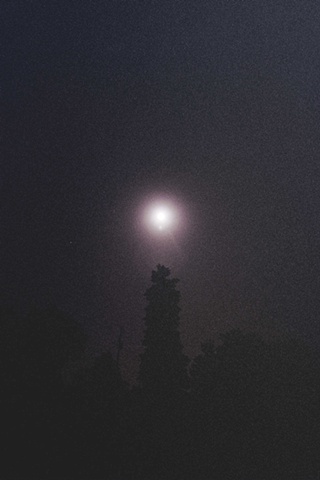 ohio black and white moonrise over tree. 