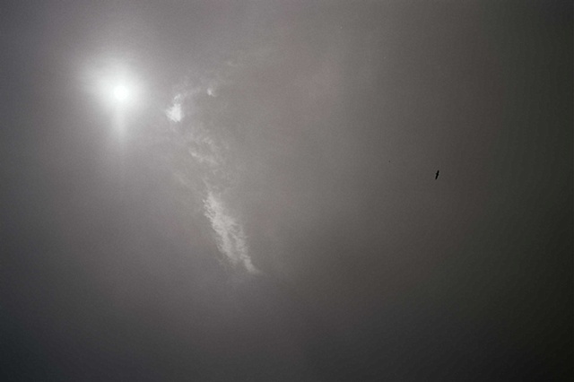 ohio black and white sun to upper left single vulture to right. 