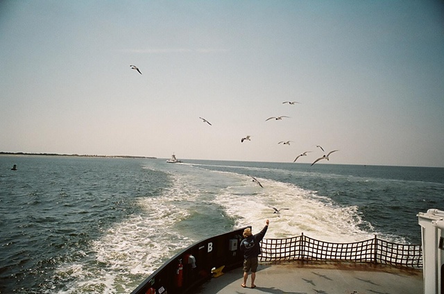 man feeding gulls from ferry.