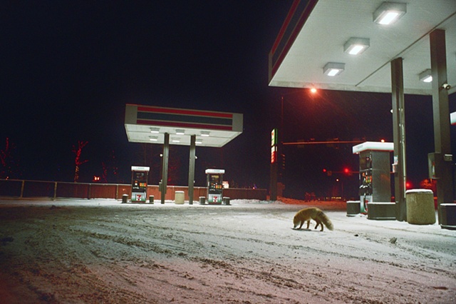 2009 red fox at gas station.