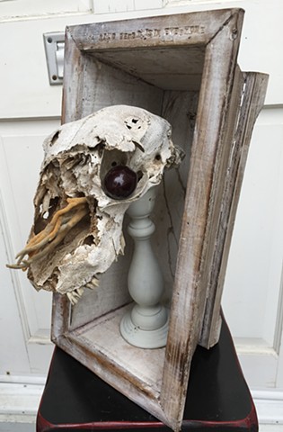 Animal Skull, Wood Box