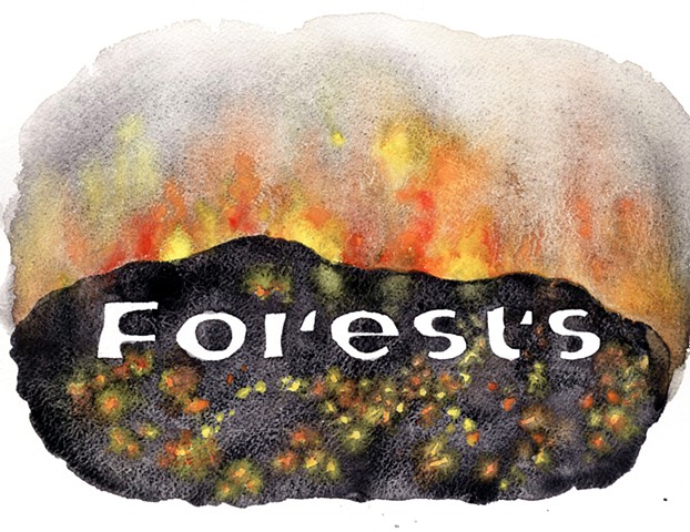 Forests (2040), August 22, 2021, Greece (Wildfires, drought, and lack of planning)
