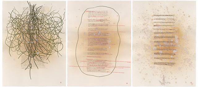 Biographical information of Fallopia japonica as told to me by Itadori