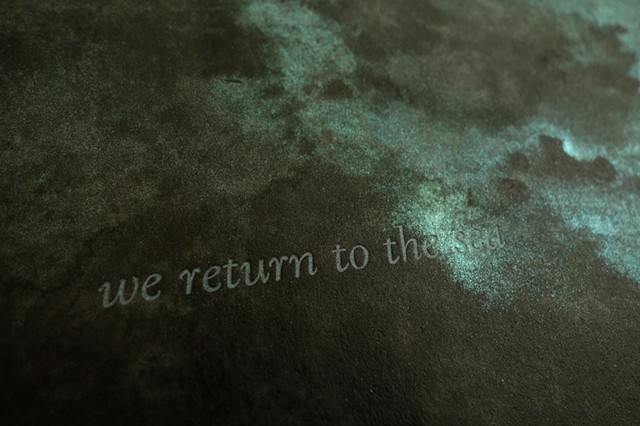 Return to the Sea, unique edition #1, page 10, close-up