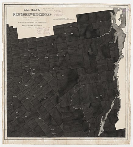 Colton’s Map of New York Wilderness, 1869