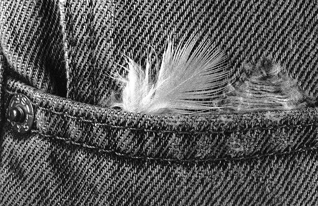 Denim and Feather 4