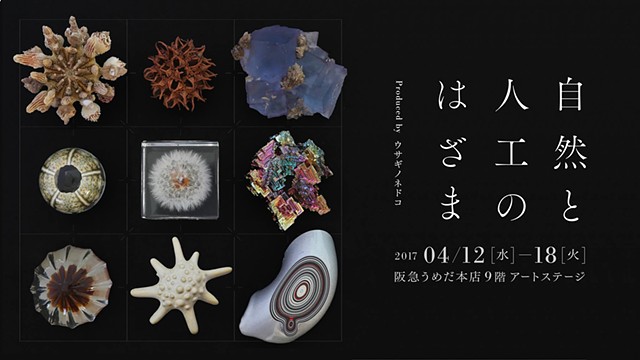 Exhibition: Interval between Nature and Artifact 