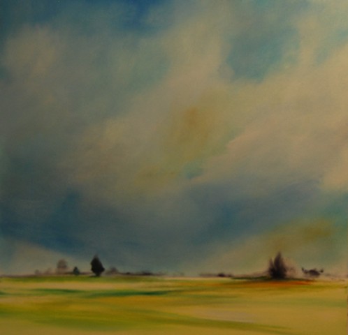 cedar fields 20x20 oil on canvas