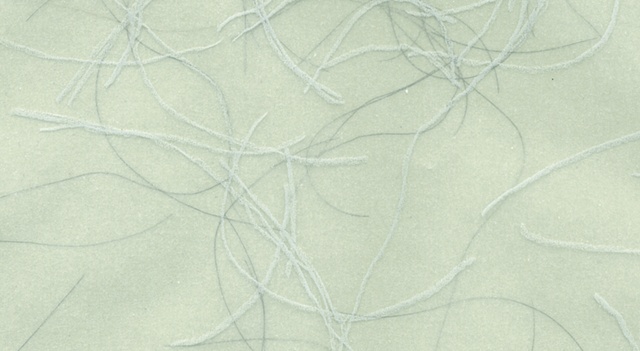 Traced Hair (Cool Gray-2). Detail