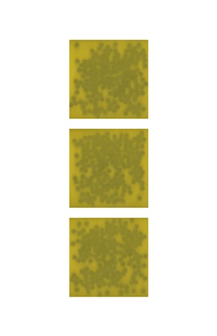 Black dots on yellow (triptych)