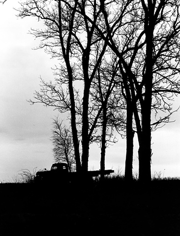 Truck and Trees
