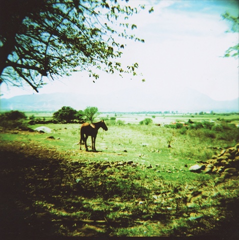 El Caballo- Teuchitlan,Mexico 