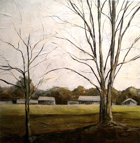 winter trees in the field
