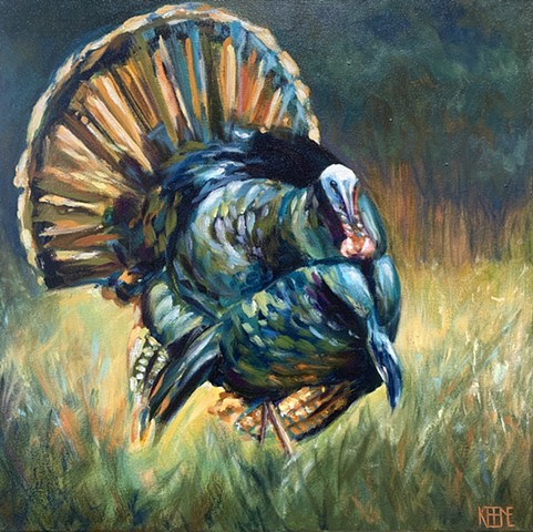 Wild Turkey III