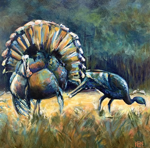 Wild Turkey I