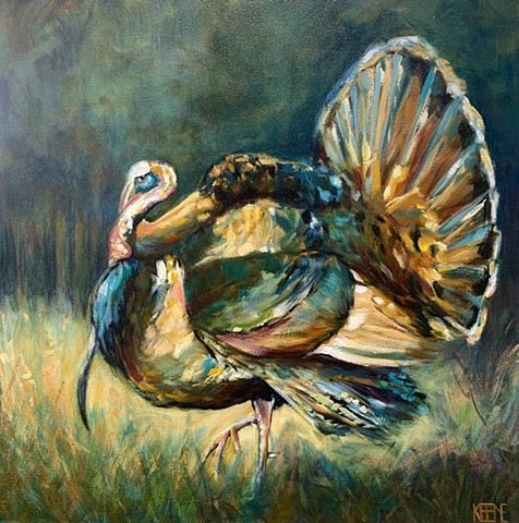 Wild Turkey II