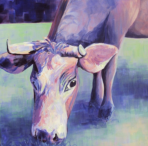 pink and purple cow eating grass