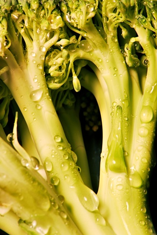 Macro (Close up) of Broccoli