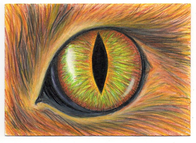 Cat Eye (detail)