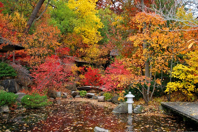 Koi Pond and West Waterfall
