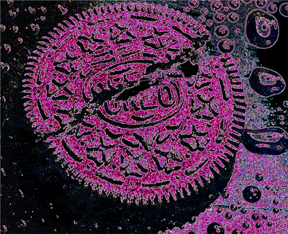 digitally enhanced image of an Oreo cookie, close up, macro, pink
