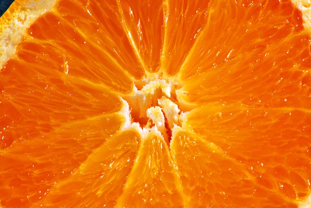 Macro (Close up) of Sliced Orange