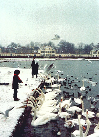 Boy Feeding Swans