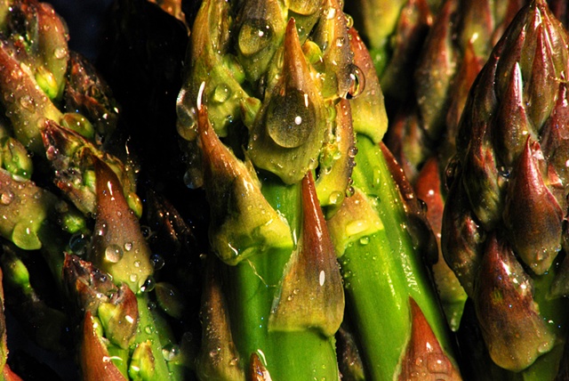Close up of Asparagus