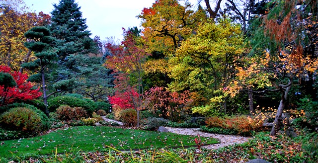 Autumn Garden Path- Anderson Japanese Garden