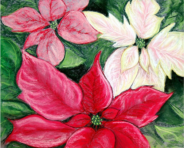 Pastel drawing of Poinsettia flowers