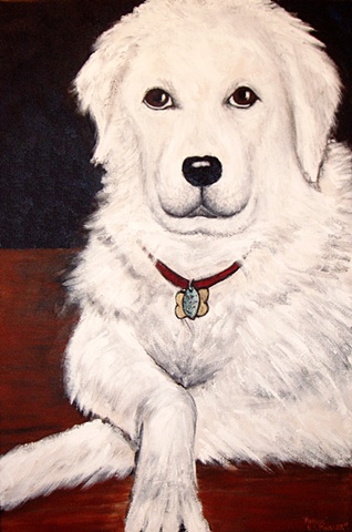 Hungarian Kuvasz, dog portrait, 
