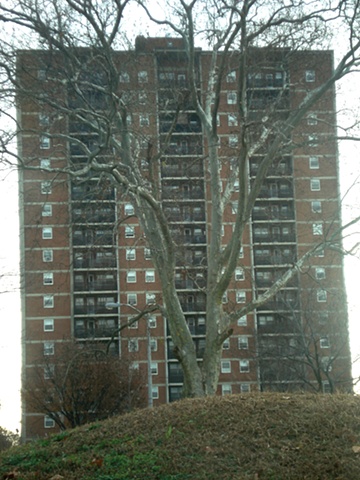 philadelphia city street apartment building with tree
