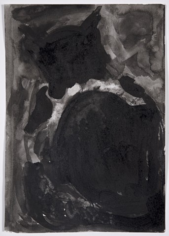 Cat in the Dark