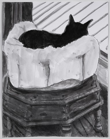 Cat on Cloud