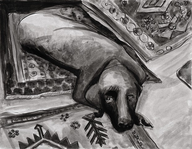 Dog Laying Waiting
