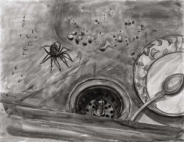 Spider and Bowl