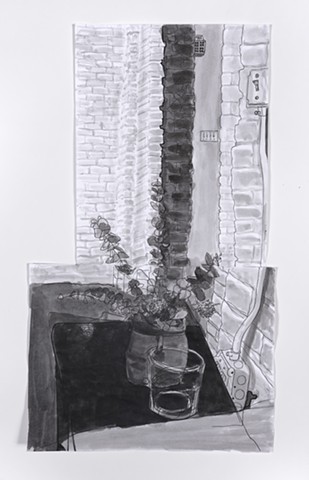 Eucalyptus and Bricks