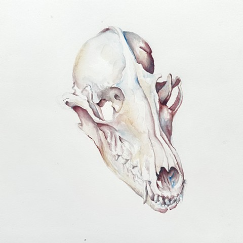 Crooked Teeth