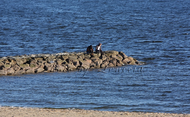 Beach Day in Rhode Island