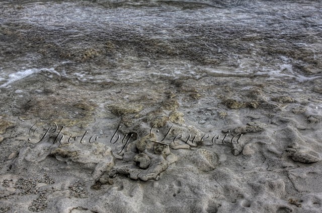 Foamy beach at East End