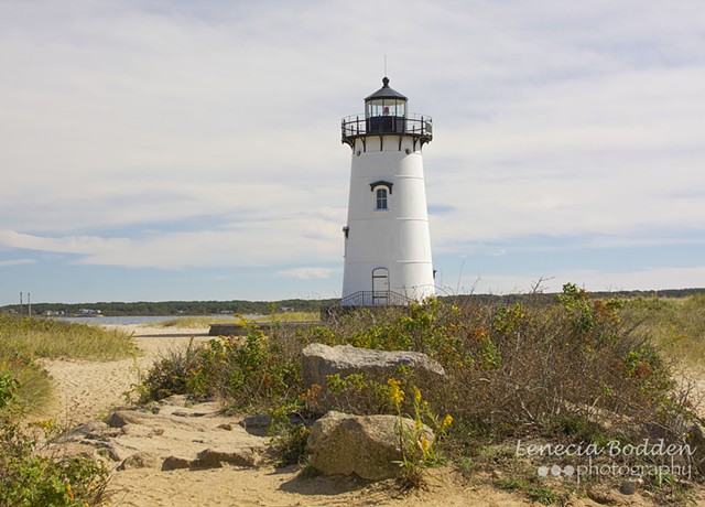 Martha's Vineyard