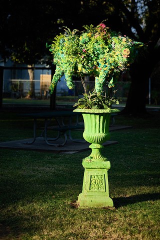 The Topiary Garden at Kempner Park