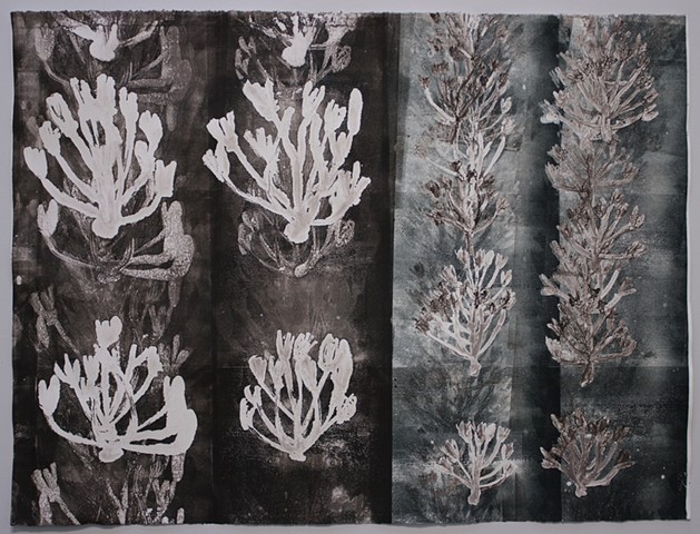 Pattern I (Cathedral Trail)