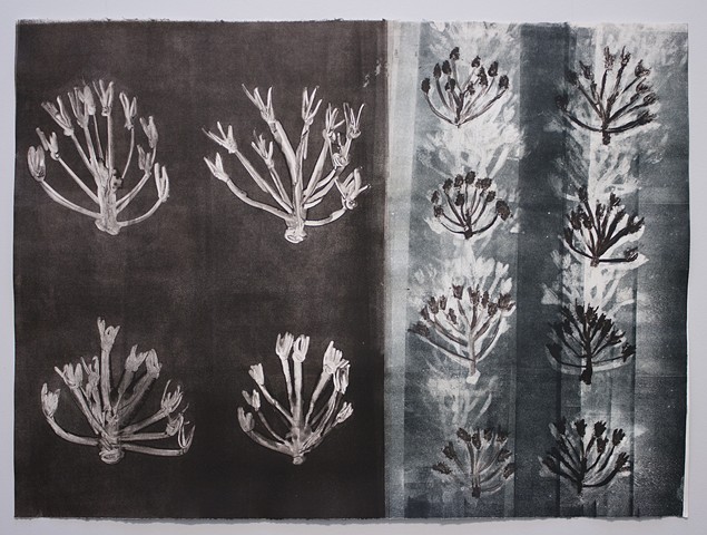 Pattern II (Cathedral Trail)